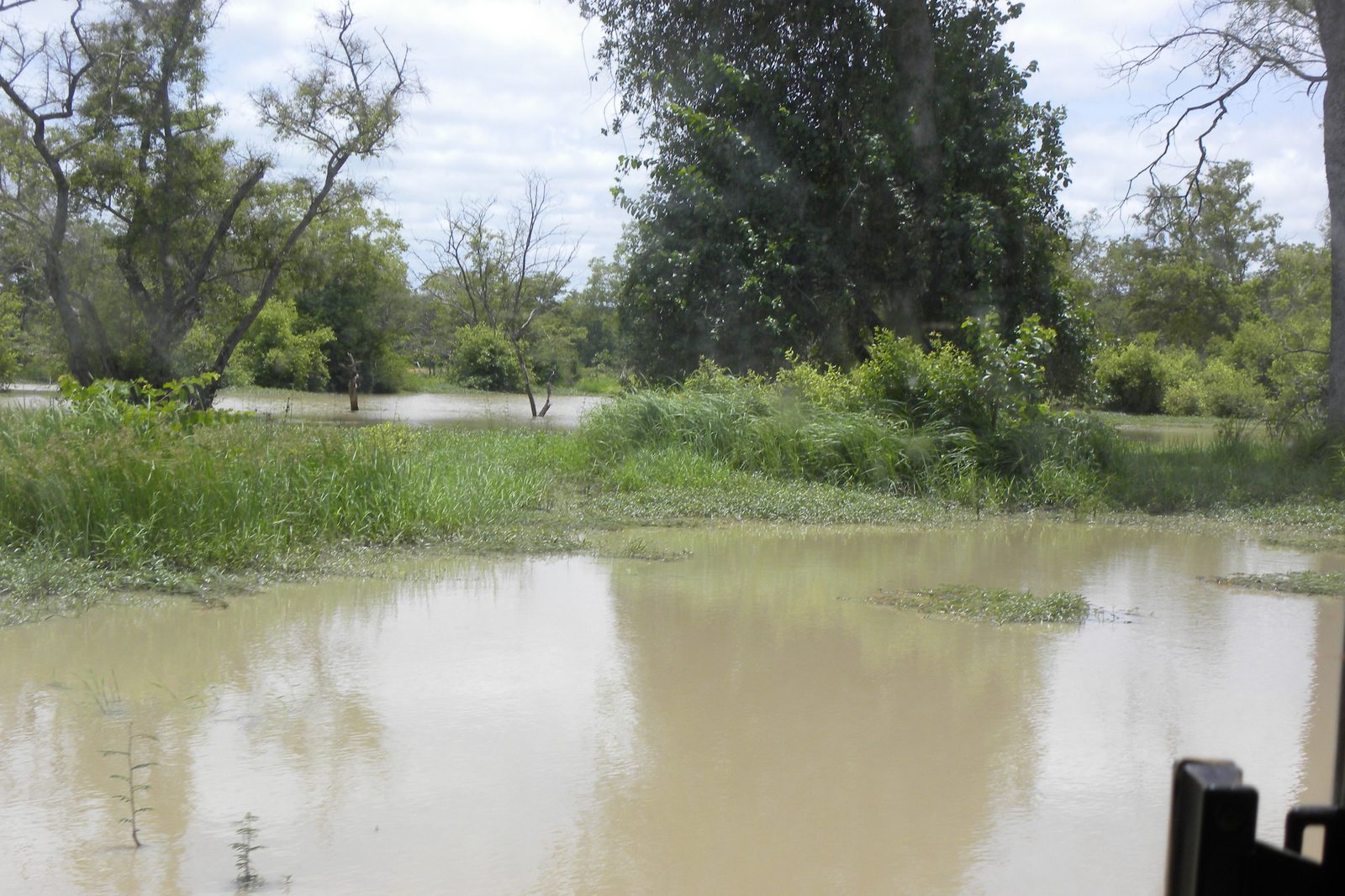 Mare du ranch de Nazinga, illustrant les zones humides sahéliennes étudiées au Burkina Faso