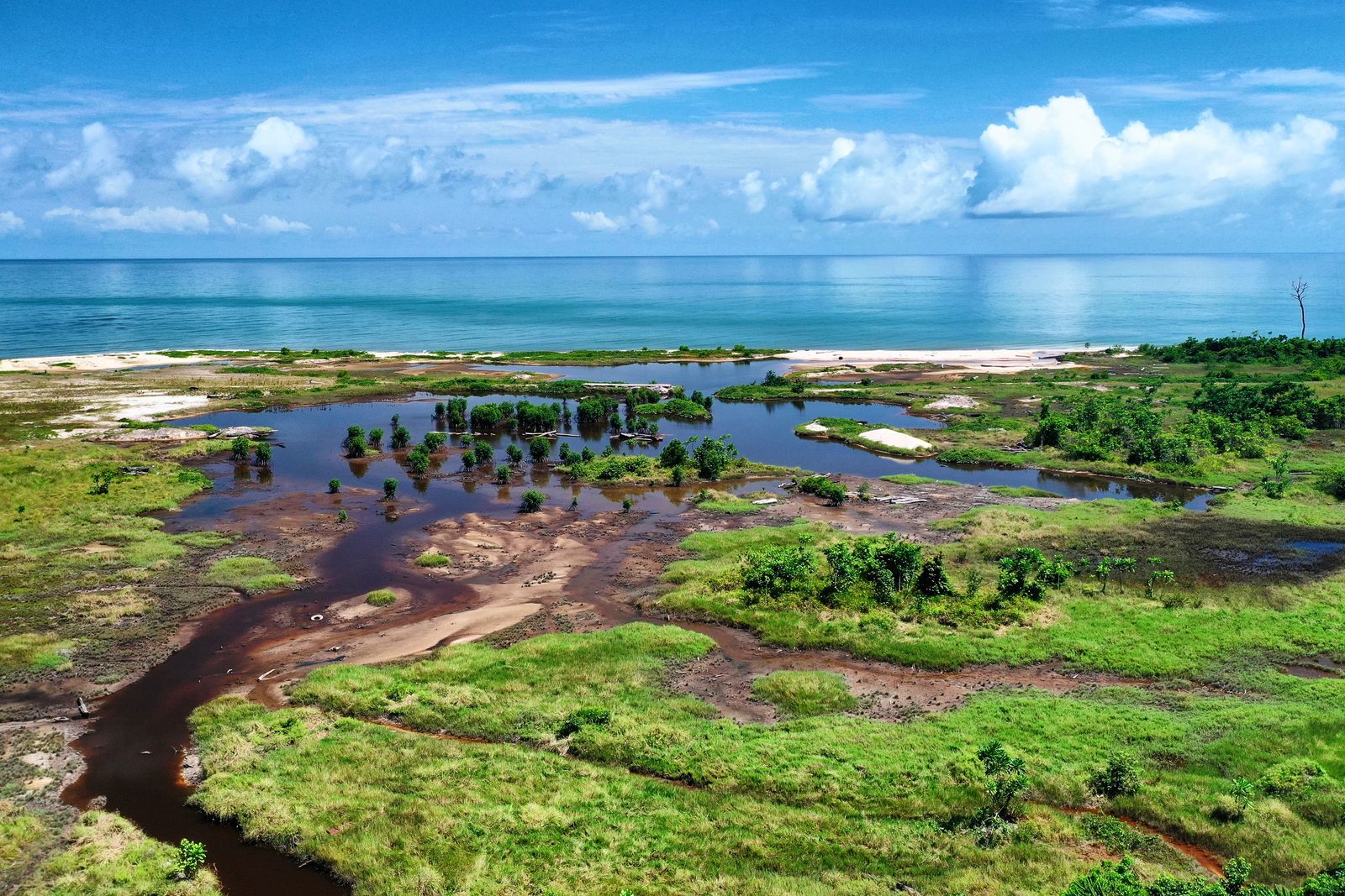 Mangrove de Nyonié rencontrant l'océan Atlantique, illustrant les zones humides côtières étudiées au Gabon