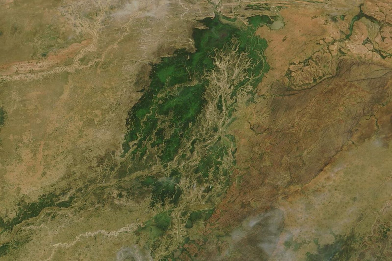 Image satellite du delta intérieur du fleuve Niger, illustrant les zones humides étudiées lors de nos missions au Mali