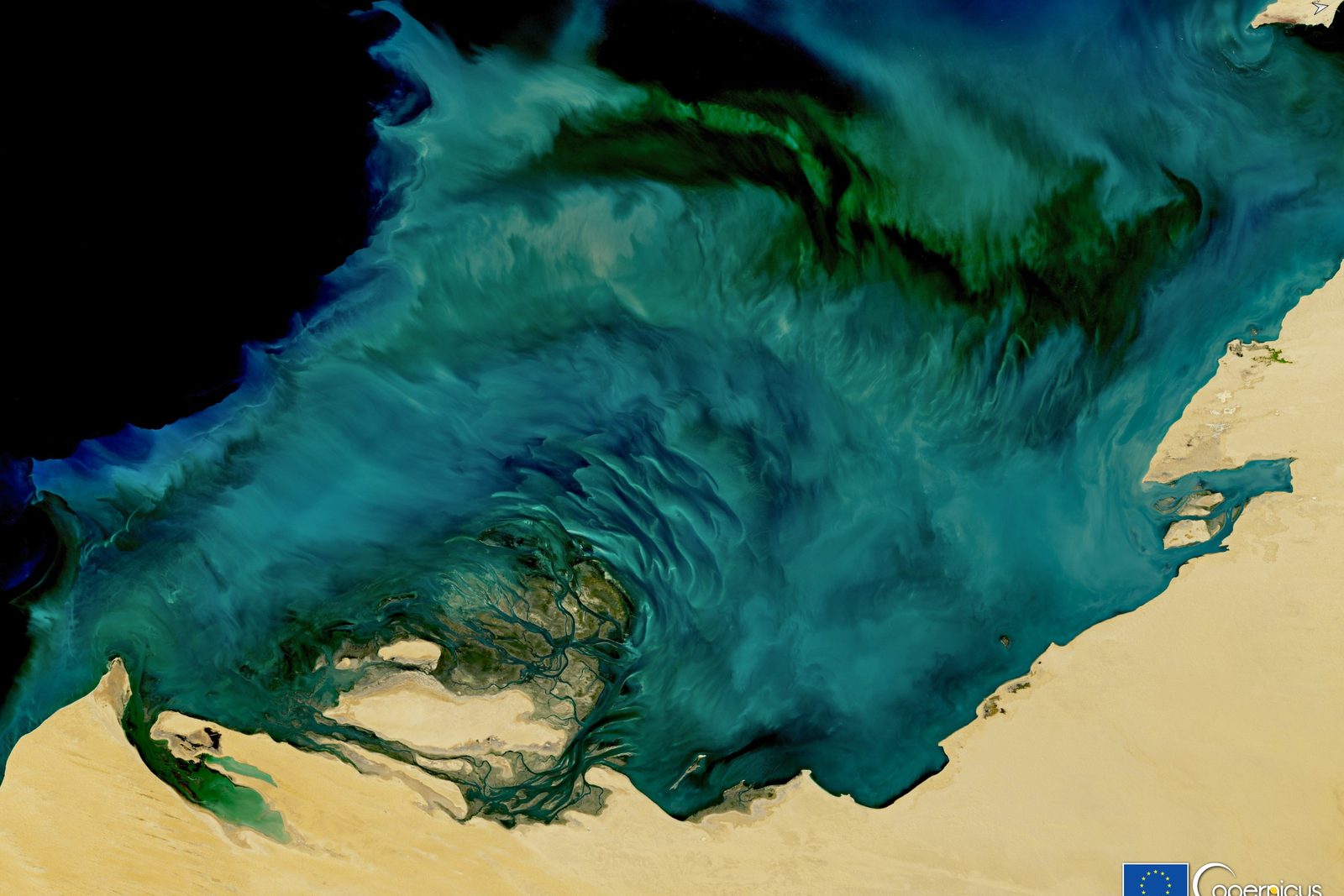 Image satellite du parc national du Banc d'Arguin, illustrant les zones humides côtières étudiées en Mauritanie