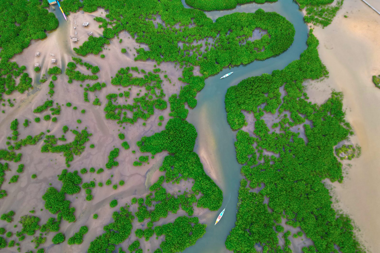 Vue aérienne du delta du Saloum et de sa mangrove, illustrant la biodiversité étudiée lors de nos missions au Sénégal